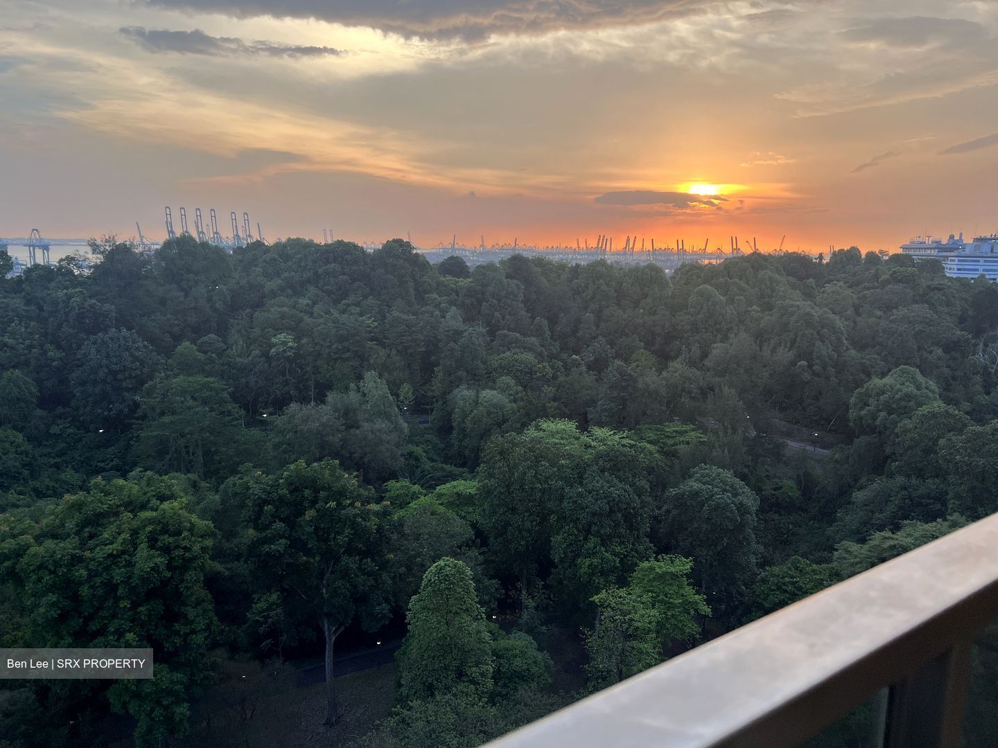 Normanton Park (D5), Apartment #574646761